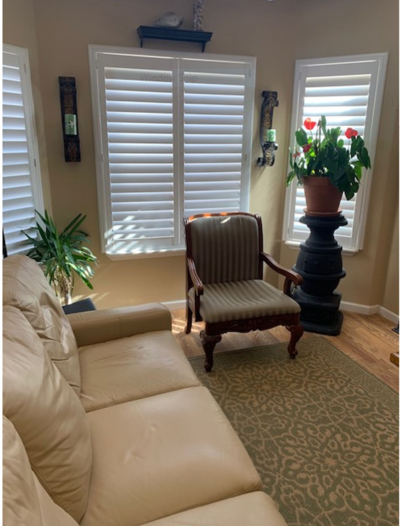 Bay Window with Shutters 3 1/2 Louver